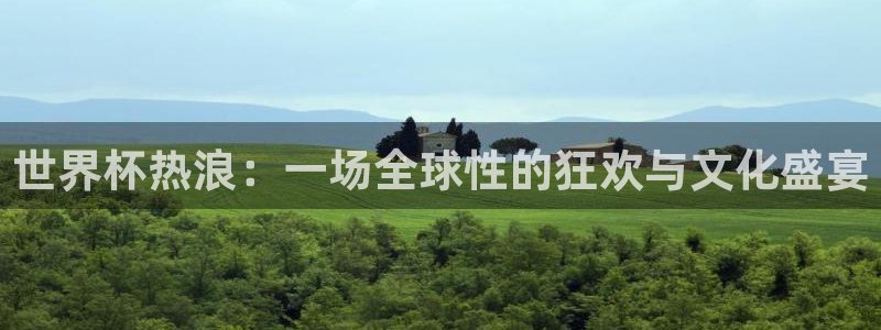 2006年世界杯冠军：世界杯热浪：一场全球性的狂欢与文化盛宴