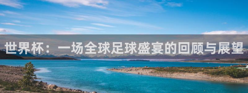 世界杯足球赛2026：世界杯：一场全球足球盛宴的回顾与展望