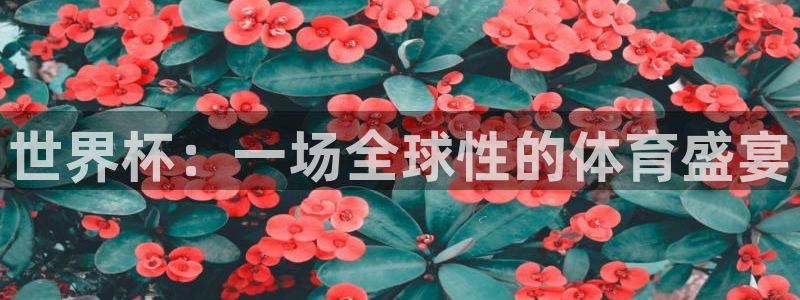 世界杯时间：世界杯：一场全球性的体育盛宴