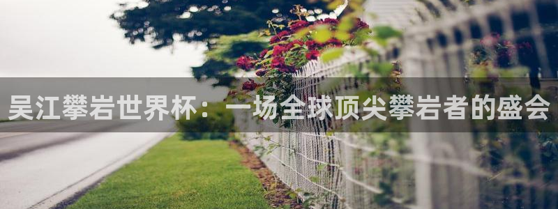 2026世界杯欧洲预选赛赛程表：吴江攀岩世界杯：一场全球顶尖攀岩者的盛会