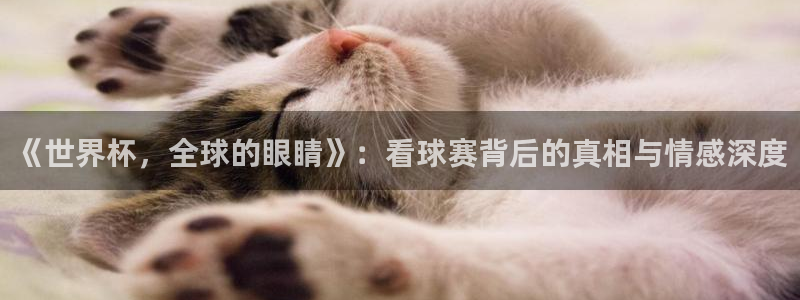 世界杯预选赛欧洲区赛程：《世界杯，全球的眼睛》：看球赛背后的真相与情感深度