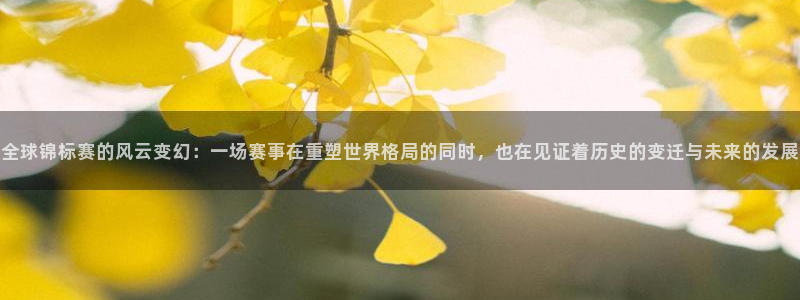 世界杯欧洲区赛程：全球锦标赛的风云变幻：一场赛事在重塑世界格局的同时，也在见证着历史的变迁与未来的发展