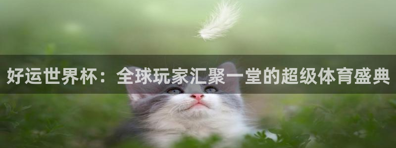 中国 世界杯：好运世界杯：全球玩家汇聚一堂的超级体育盛典