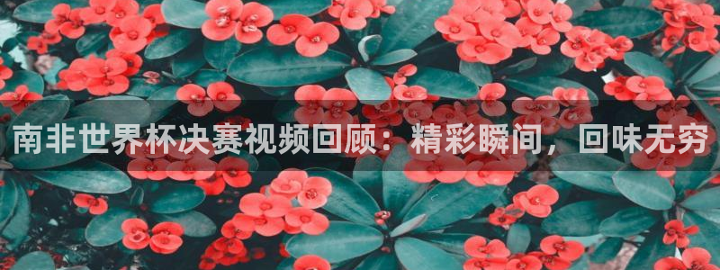2026世界杯赛程：南非世界杯决赛视频回顾：精彩瞬间，回味无穷