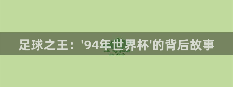 2006世界杯：足球之王：\'94年世界杯\'的背后故事