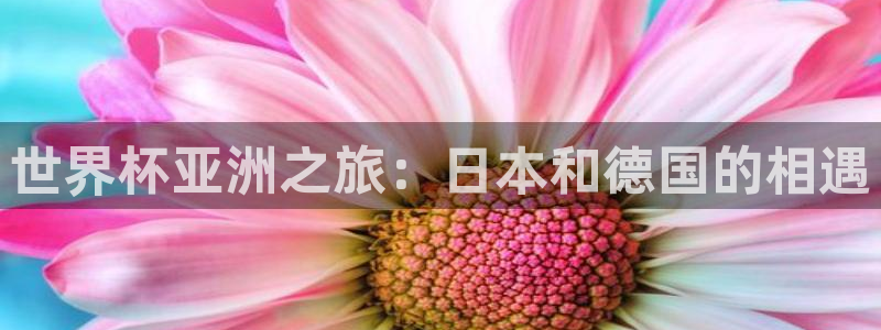 世界杯球队：世界杯亚洲之旅：日本和德国的相遇