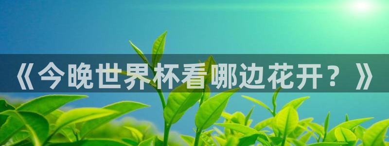 2026年世界杯时间表：《今晚世界杯看哪边花开？》