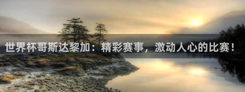 世界杯直播网站：世界杯哥斯达黎加：精彩赛事，激动人心的比赛！