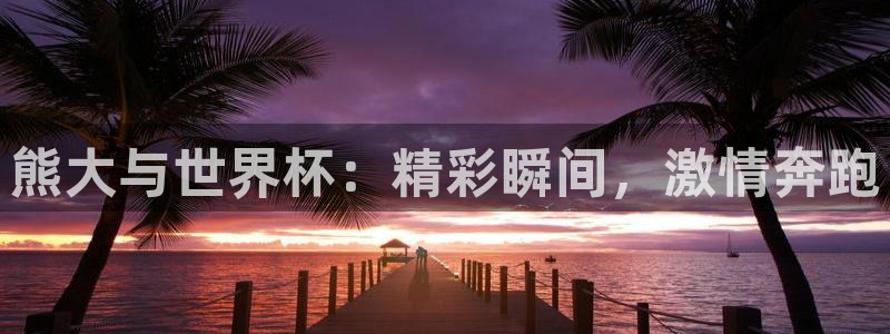 世预赛欧洲赛程表：熊大与世界杯：精彩瞬间，激情奔跑