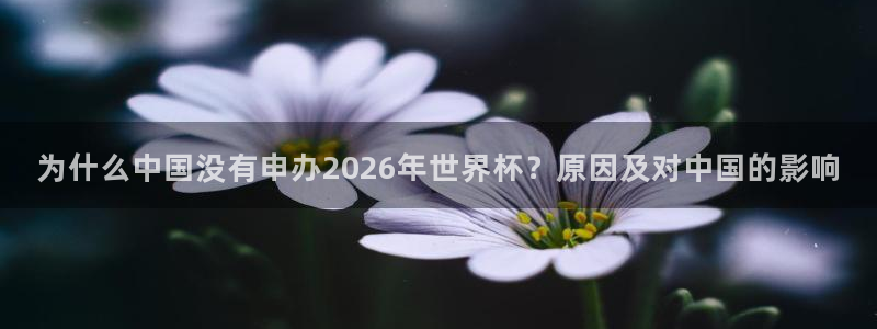世界杯2026比赛时间表：为什么中国没有申办2026年世界杯？原因及对中国的影响